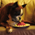 Happy 11th Bday, Poun!
