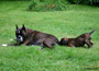 Edini and Babette (right)